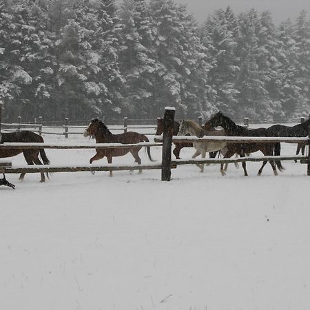 Penzion-Ranc U Trapera Hrabušice Buitenkant foto